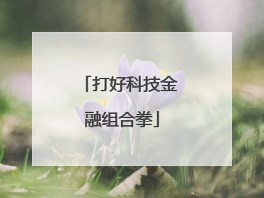 打好科技金融组合拳