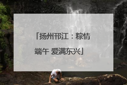 扬州邗江：粽情端午 爱满东兴