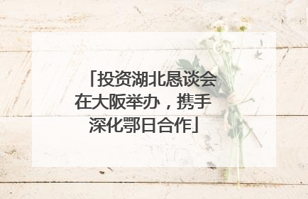 投资湖北恳谈会在大阪举办，携手深化鄂日合作