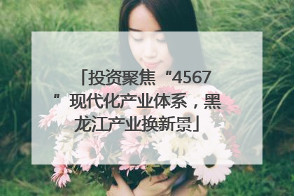 投资聚焦“4567”现代化产业体系，黑龙江产业换新景