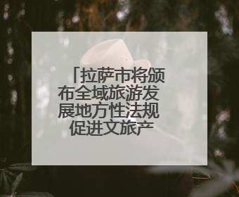 拉萨市将颁布全域旅游发展地方性法规 促进文旅产业大发展