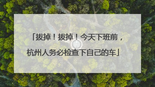 拔掉！拔掉！今天下班前，杭州人务必检查下自己的车