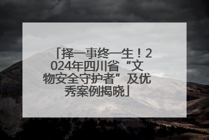 择一事终一生！2024年四川省“文物安全守护者”及优秀案例揭晓