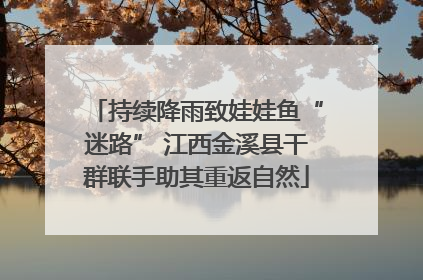 持续降雨致娃娃鱼“迷路” 江西金溪县干群联手助其重返自然