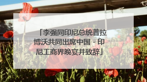 李强同印尼总统普拉博沃共同出席中国－印尼工商界晚宴并致辞