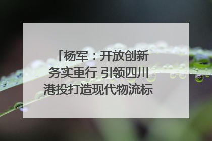 杨军：开放创新 务实重行 引领四川港投打造现代物流标杆｜致敬2024四川经济影响力人物