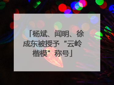 杨斌、闻明、徐成东被授予“云岭楷模”称号