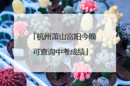 杭州萧山富阳今晚可查询中考成绩