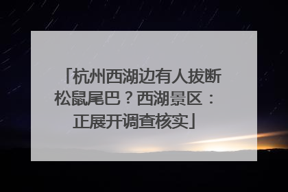 杭州西湖边有人拔断松鼠尾巴？西湖景区：正展开调查核实