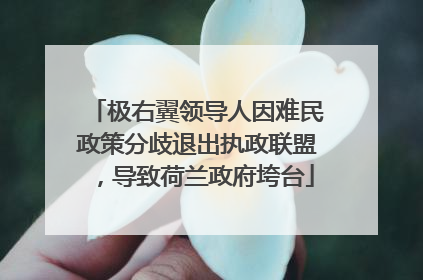 极右翼领导人因难民政策分歧退出执政联盟，导致荷兰政府垮台