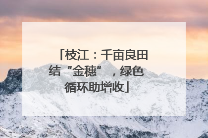 枝江：千亩良田结“金穗”，绿色循环助增收