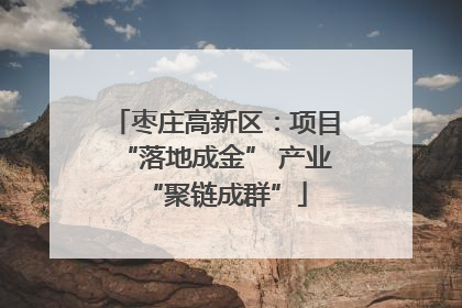 枣庄高新区：项目“落地成金” 产业“聚链成群”