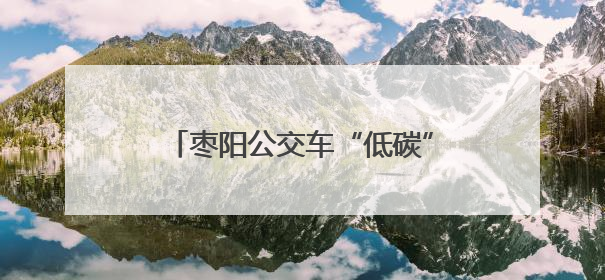 枣阳公交车“低碳”迎亲 诠释别样浪漫