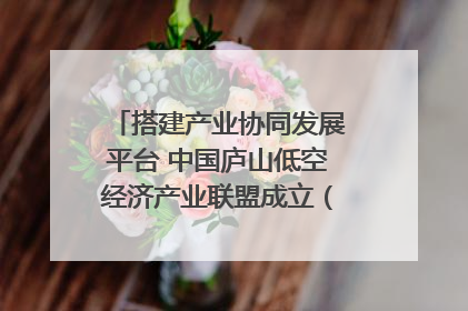 搭建产业协同发展平台 中国庐山低空经济产业联盟成立（组图｜视频）