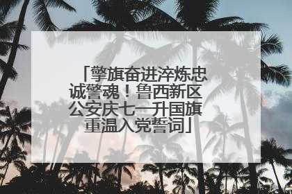 擎旗奋进淬炼忠诚警魂！鲁西新区公安庆七一升国旗 重温入党誓词