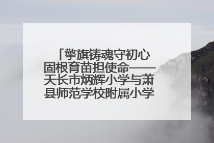 擎旗铸魂守初心 固根育苗担使命——天长市炳辉小学与萧县师范学校附属小学结对共建活动纪实