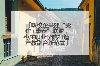 政校企共建“党建+康养”联盟，枣庄职业学院打造产教融合新范式