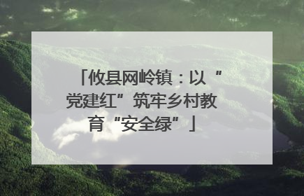 攸县网岭镇：以“党建红”筑牢乡村教育“安全绿”