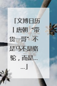 文博日历丨唐朝“带货一哥”不是马不是骆驼，而是……