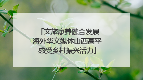 文旅康养融合发展 海外华文媒体山西高平感受乡村振兴活力
