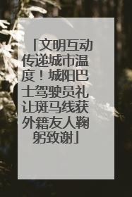 文明互动传递城市温度！城阳巴士驾驶员礼让斑马线获外籍友人鞠躬致谢