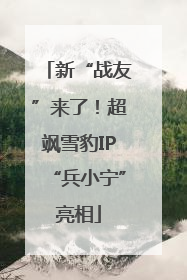 新“战友”来了！超飒雪豹IP“兵小宁”亮相