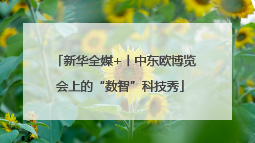 新华全媒+丨中东欧博览会上的“数智”科技秀