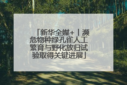 新华全媒+丨濒危物种绿孔雀人工繁育与野化放归试验取得关键进展
