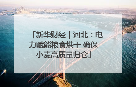 新华财经｜河北：电力赋能粮食烘干 确保小麦高质量归仓