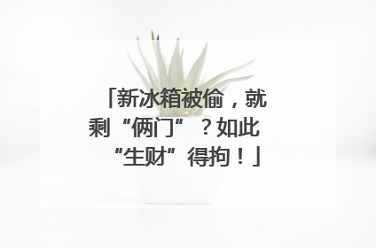 新冰箱被偷，就剩“俩门”？如此“生财”得拘！