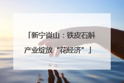 新宁崀山：铁皮石斛产业绽放“花经济”