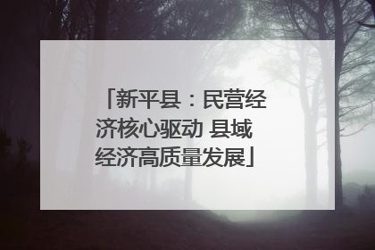 新平县：民营经济核心驱动 县域经济高质量发展