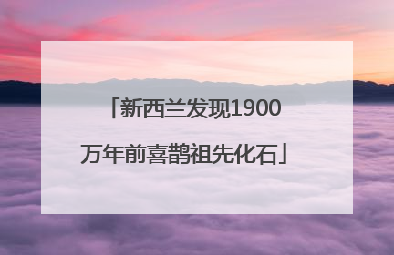 新西兰发现1900万年前喜鹊祖先化石