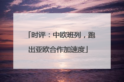 时评：中欧班列，跑出亚欧合作加速度