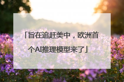旨在追赶美中，欧洲首个AI推理模型来了
