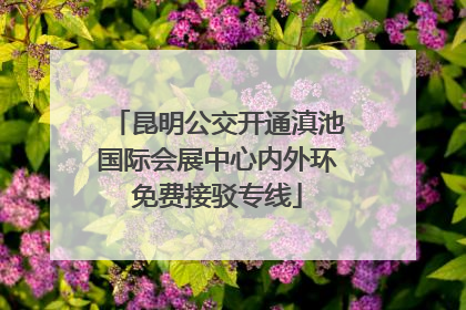 昆明公交开通滇池国际会展中心内外环免费接驳专线