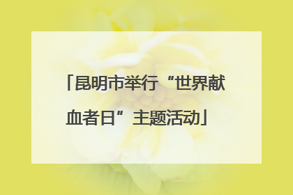昆明市举行“世界献血者日”主题活动