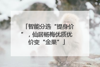 智能分选“提身价”，仙居杨梅优质优价变“金果”