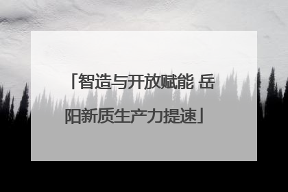 智造与开放赋能 岳阳新质生产力提速
