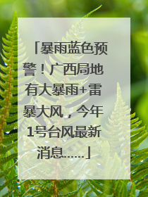 暴雨蓝色预警！广西局地有大暴雨+雷暴大风，今年1号台风最新消息……