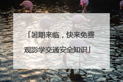 暑期来临，快来免费观影学交通安全知识