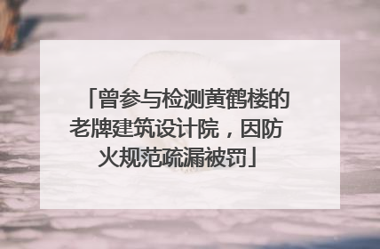 曾参与检测黄鹤楼的老牌建筑设计院，因防火规范疏漏被罚