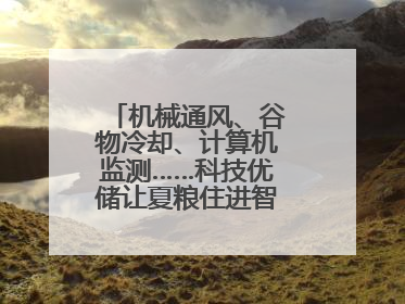 机械通风、谷物冷却、计算机监测……科技优储让夏粮住进智慧的“家”