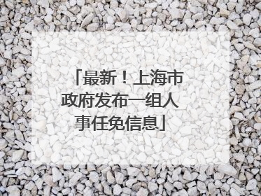 最新！上海市政府发布一组人事任免信息