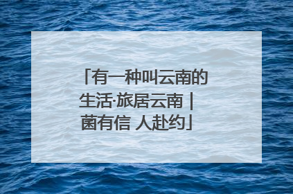 有一种叫云南的生活·旅居云南｜菌有信 人赴约