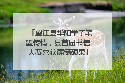 望江县华阳学子笔墨传情，县首届书信大赛喜获满笺硕果