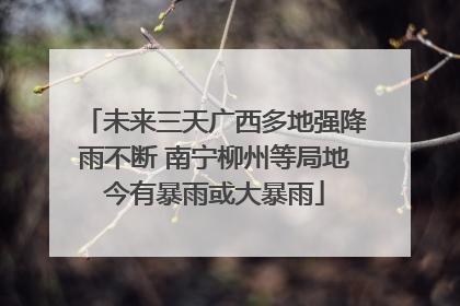 未来三天广西多地强降雨不断 南宁柳州等局地今有暴雨或大暴雨