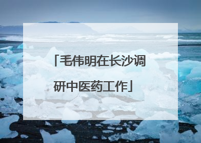 毛伟明在长沙调研中医药工作