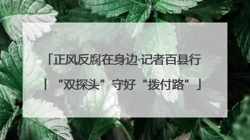 正风反腐在身边·记者百县行丨“双探头”守好“拨付路”
