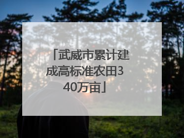 武威市累计建成高标准农田340万亩
